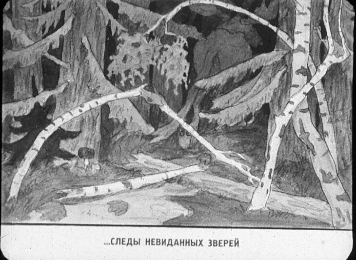 На неведомых дорожках следы невиданных зверей. Пушкин там на неведомых дорожках следы невиданных зверей. Лукоморье следы невиданных зверей. Следы невиданных зверей Пушкин. Неведомые дорожки следы невиданных зверей