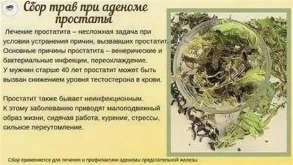 Рецепты от аденомы. Сборы трав при аденоме простаты. травяной сбор от простатита и аденомы простаты. травы для предстательной железы. лечебные травы от простаты.