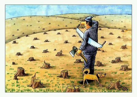 Вырубая леса люди не думают о будущем