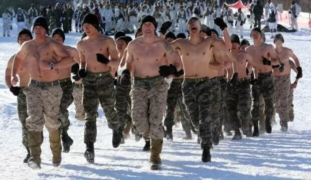 ВДВ И морская пехота. Морпехи ВДВ И спецназ. Спецназ ВДВ морская пехота. Морпехи и десантники. Вдв морпехов