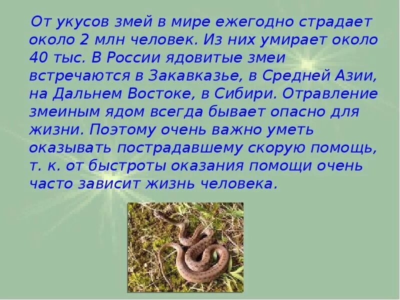 Сообщение про змею. Доклад на тему ядовитые змеи. Сообщение о ядовитых змей. Ядовитые змеи доклад. Доклад про ядовитую змею.