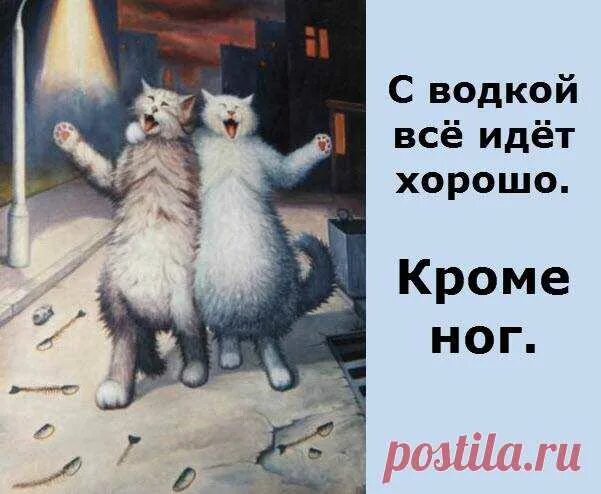 А не спеть ли мне песню а не спеть Мем. Картинка с котом а не спеть ли мне песню. А не спеть ли мне песню Мем. А не спеть ли мне песню о любви картинки. А ни спеть ли мне