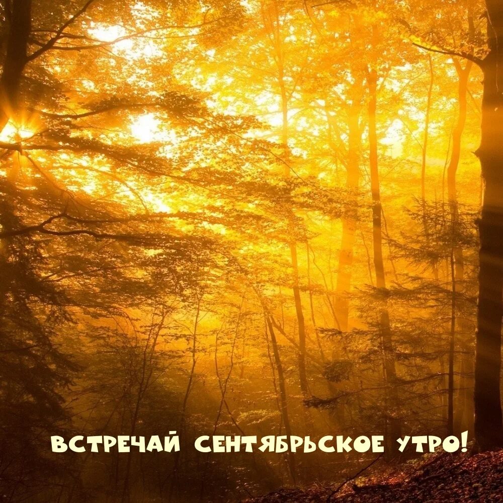 8 сентября утро
