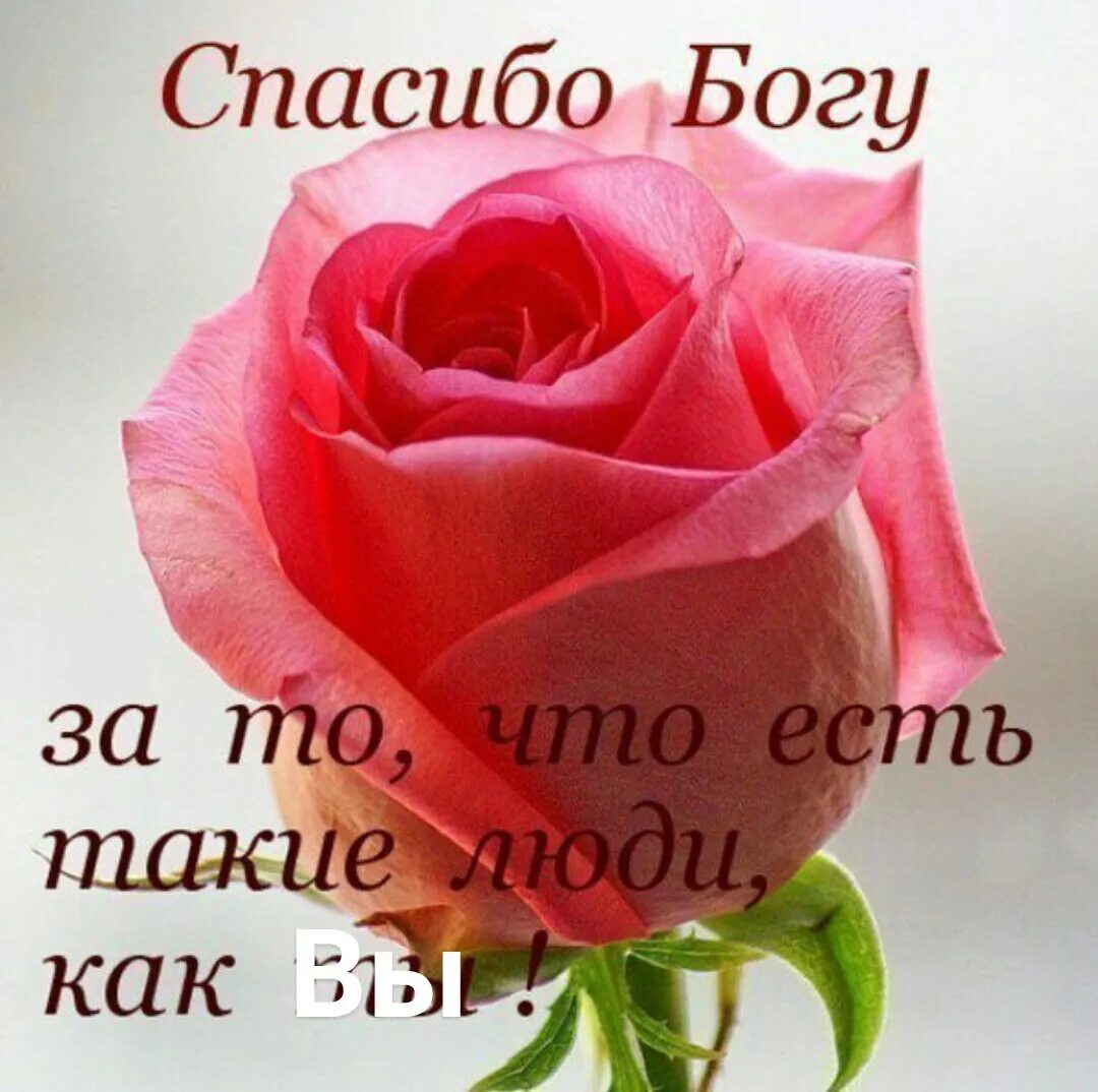 Добрую нежную отзывчивую