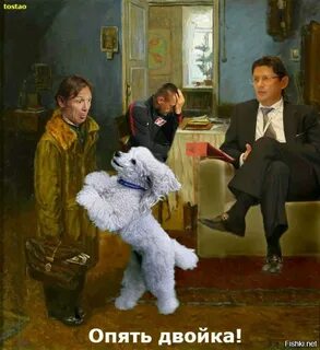 Опять получил 2