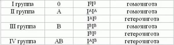 2 Группа крови гетерозигота. 2 И 3 группы крови гетерозигота. 3 Гетерозиготная группа крови. Группы крови гомозигота и гетерозигота. Чему равна вторая группа