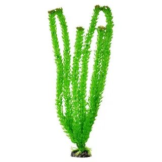 Co2 plants