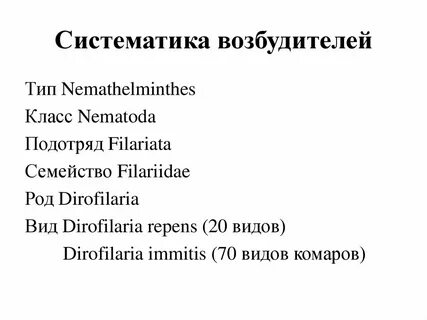 Систематическое положение мухи комнатной