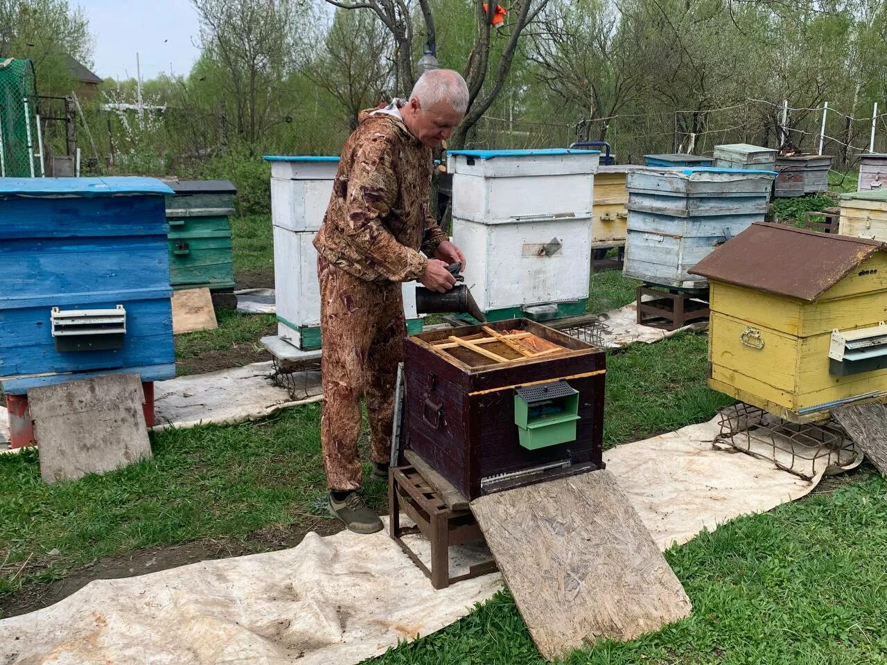 Сбор 1м. Ульи. Пчеловод. Пчелиный улей. Сбор меда.