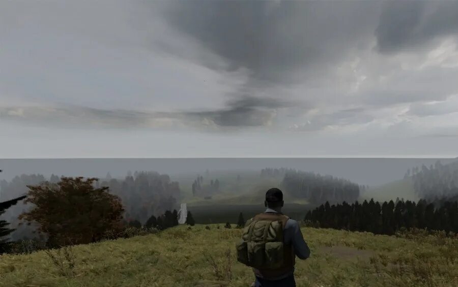 Dayz произошел необычным образом. 116 dayz. лесник из игры dayz. яр 87 dayz. ветренная гора dayz.