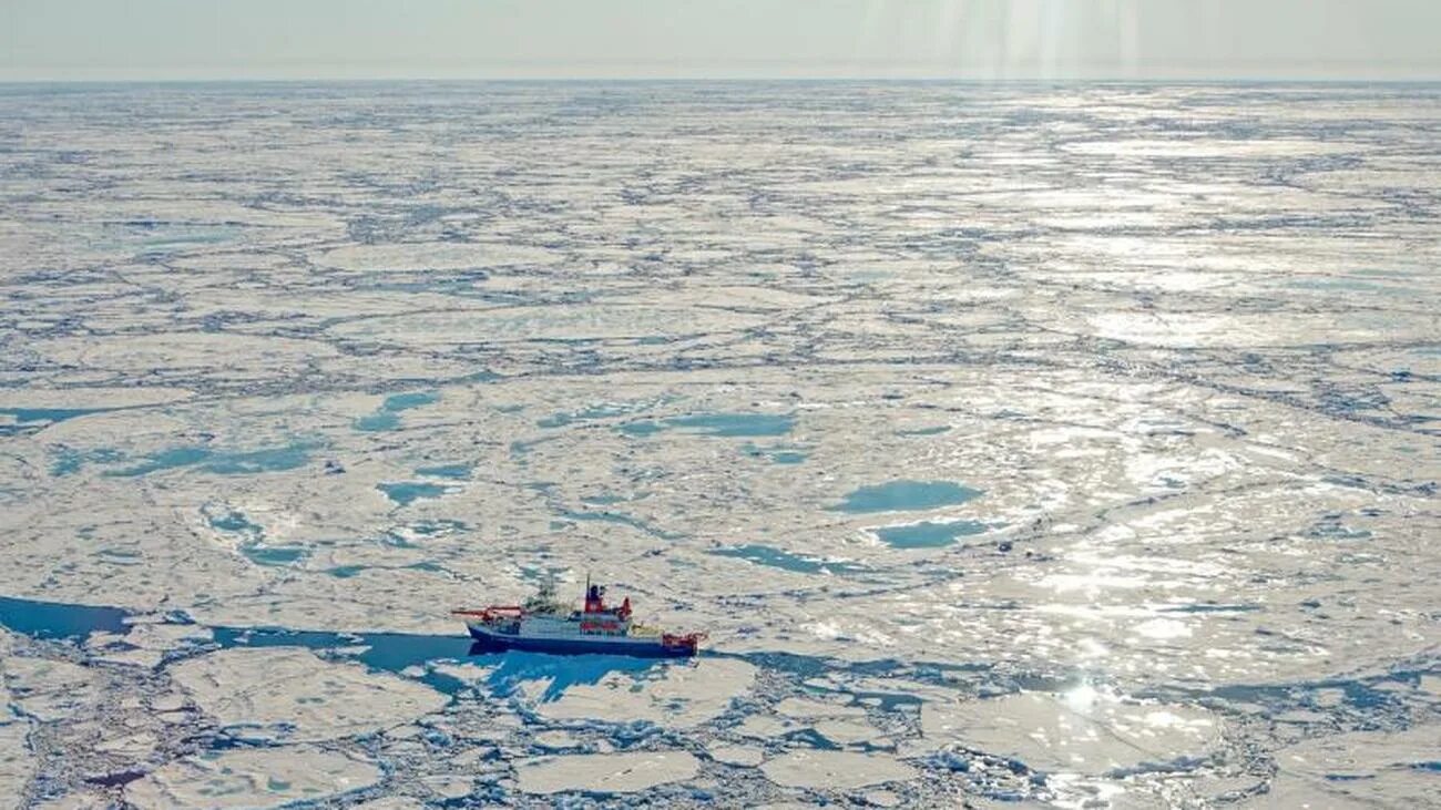 Якутия море Лаптевых. Тундра море Лаптевых. Южный берег моря Лаптевых. Новосибирские острова море Лаптевых. Бассейн океана моря лаптевых