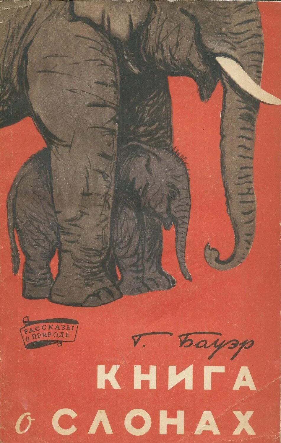 Elephants books. Книги про слонов. Книги о слонах. Детские книги про слона. Слон с книгой.