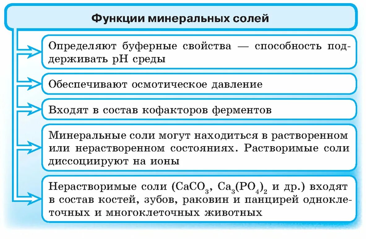 Вода и минеральные соли таблица. Функции минеральных солей в клетке. минеральные соли функции в клетке. минеральные соли свойства. функции минеральных солей биология.