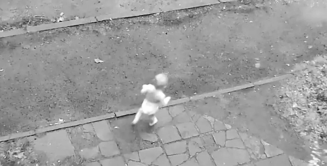 Дети сбежали из сада. Дети сбежали из детского сада. Ребенок ушел из детского сада. Забор для детской площадки. Дети сбежали из детского сада.