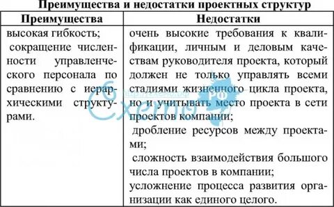 Менеджмент достоинства и недостатки