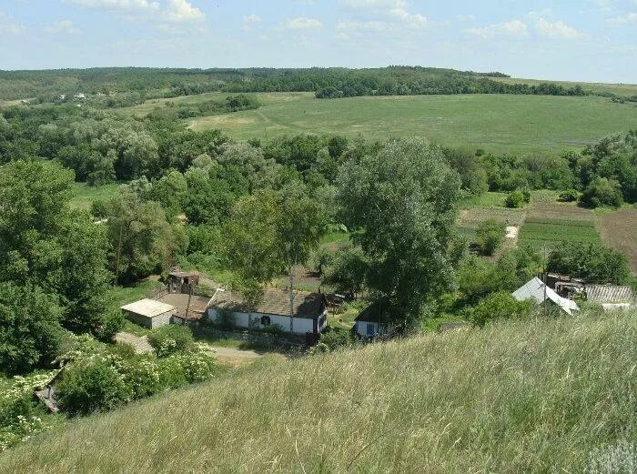 Село орловка городищенский район волгоградской области. Р орловка. Село орловка приазовский рай. Село орловка красноярский край. Поселок орловка.