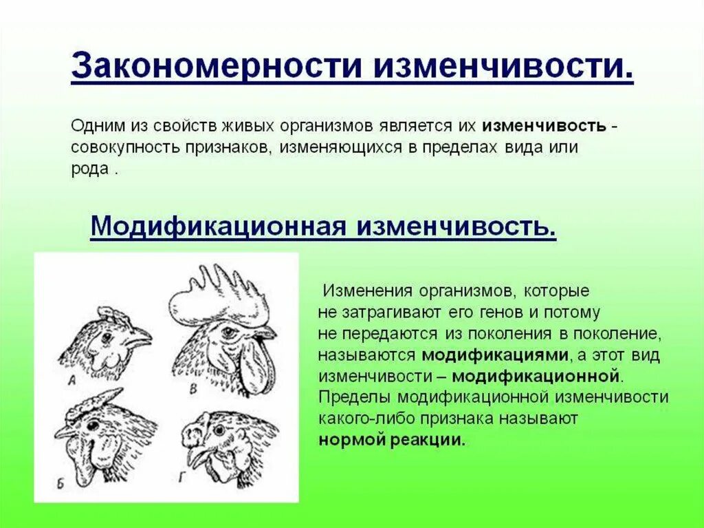 Основные закономерности наследственной изменчивости. Наследование модификационной изменчивости. Закономерность изменчивость ненаследственную изменчивость. Закрномерностиизменчивости. Мутации в отличие от модификаций