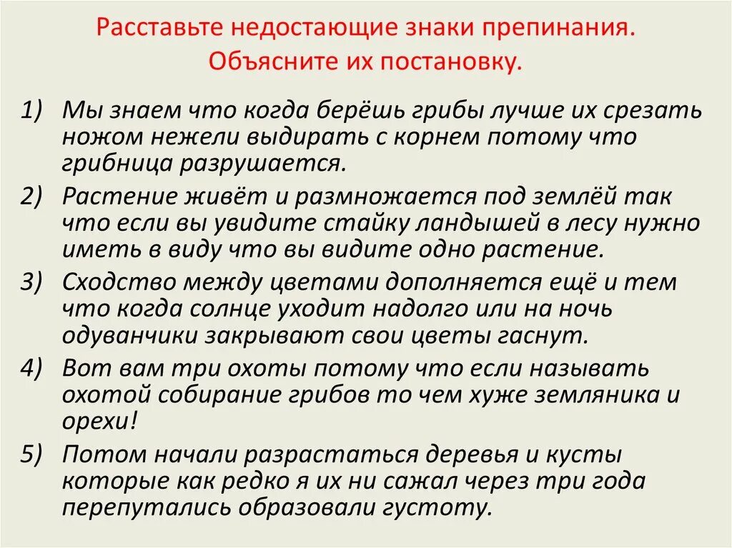 Пропустить проявить. Расстановка знаков препинания. Объяснить знаки препинания в предложении. Как объяснить знаки препинания в предложении.