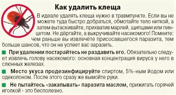 Как удалить клеща у человека самостоятельно. Как правильно убрать клеща.