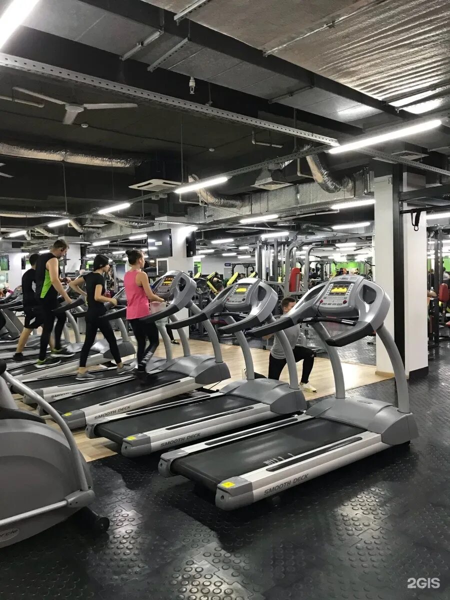 Краснодар ставропольская улица 140 alex fitness. Алекс фитнес оренбург абонемент. Алекс фитнес оренбург абонемент. Алекс фитнес оренбург гулливер. Алекс фитнес оренбург абонемент.