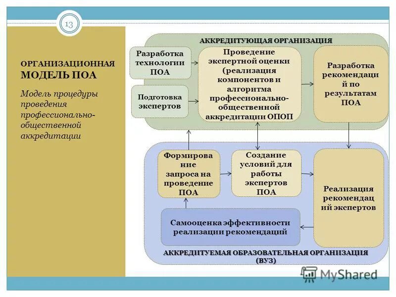 Модель общественной организации