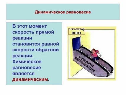 Что такое динамическое равновесие в физике