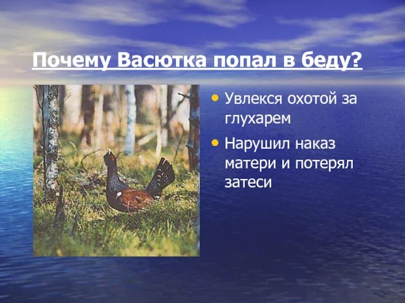 Глухарь Васюткино озеро. Васюткино озеро Васютка и Глухарь. Глухарь из Васюткино озеро. Глухарь из рассказа Васюткино озеро. Какой зверь приближался к васютке