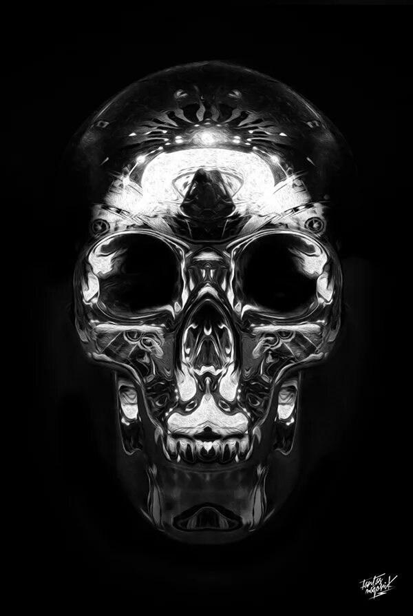 Skull 1