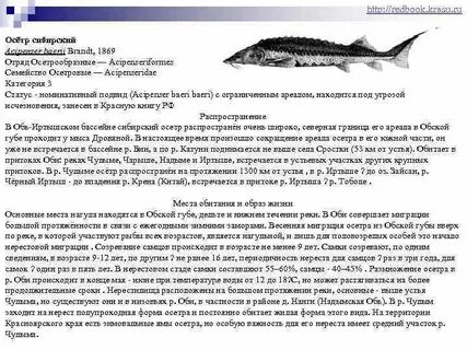 Известно что русский осетр крупная проходная рыба