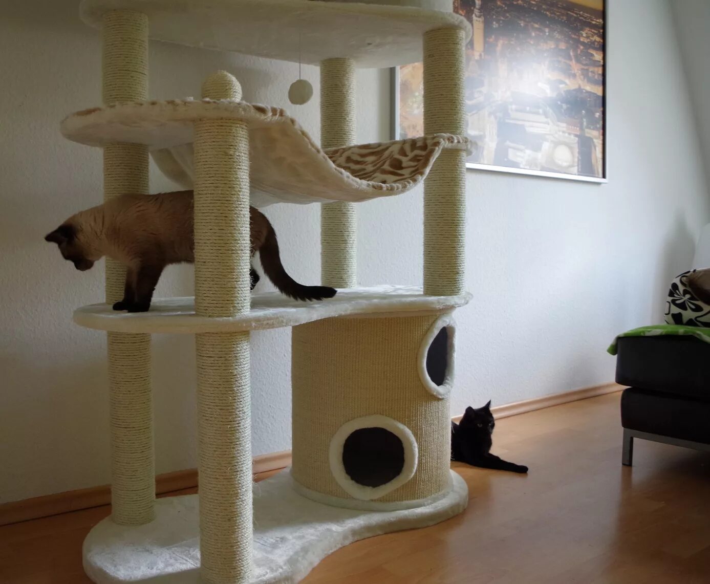 Комплекс для кошки Trixie Juana. Домик когтеточка «комфорт-большой дом 2х». Многоэтажный домик для кошки. Огромные домики для кошек. Комплексы для крупных кошек