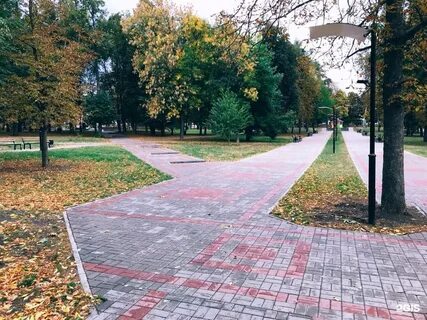Сколько парков в курске