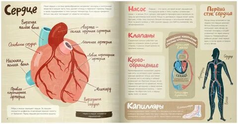 Произведения про сердце