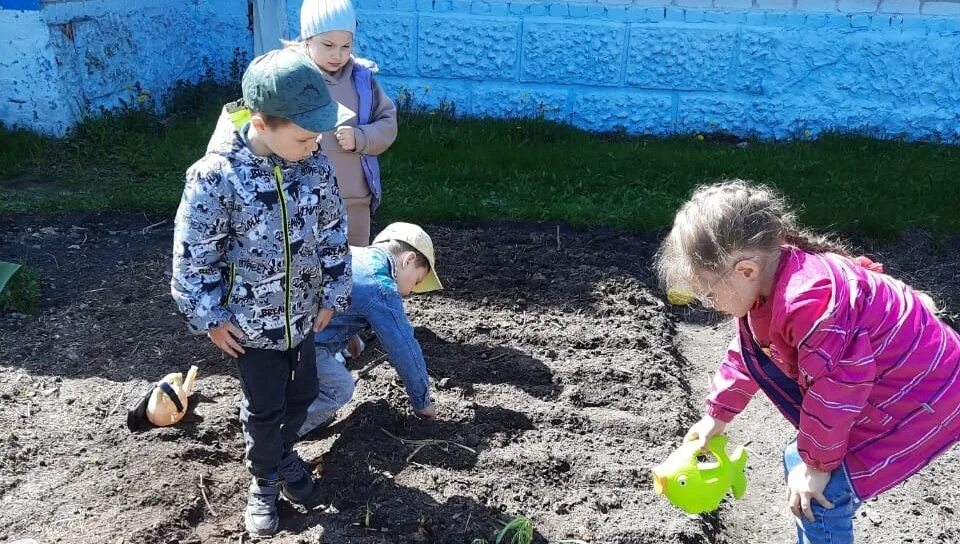 Дети посадили огород. Огород в детском саду. Детский огород в детском саду. Труд в огороде. Садим огород в детском саду.