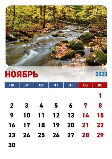 Ноябрь 2019 года интернет. Календарь ноябрь. Ноябрь 2020. Ноябрь 2020 года календарь. Календарь ноябрь 2020г.