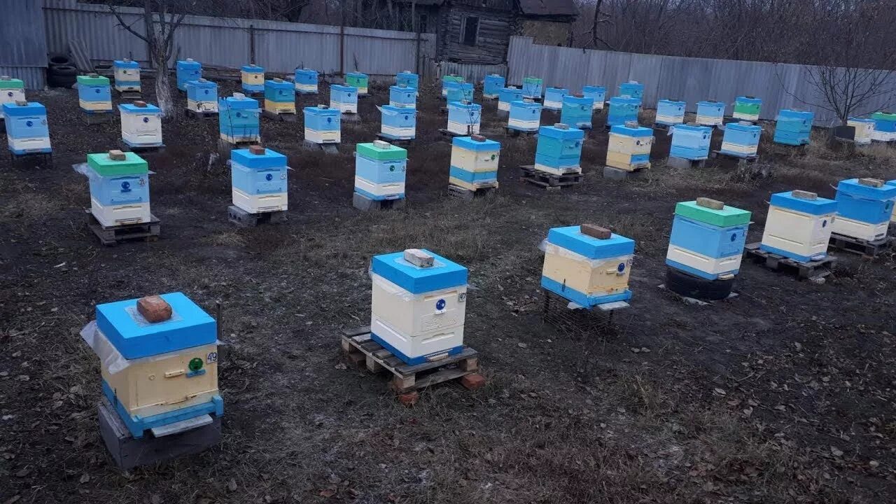 Улья из ппс. Ульи ппс. Ульи ппс. Улья из ппс. Ульи lyson ппс.