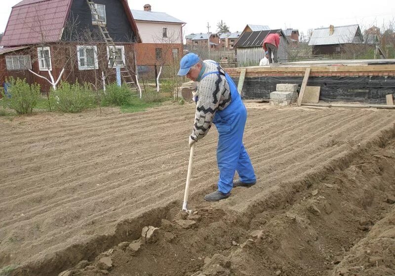 Можно ли работать в земле. Копать огород. Перекопка участка. Перекапывать землю на огороде. Вскопанная земля на огороде.