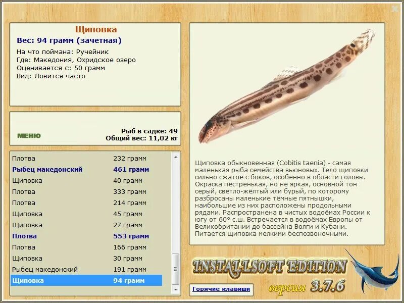 промысловая речная рыба семейства вьюновых. голец семейство вьюновых. амурский вьюн рыба. промысловая речная рыба семейства вьюновых. промысловая речная рыба семейства вьюновых.