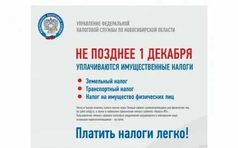 Позднее 1 декабря