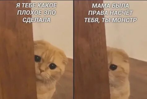 Дорогая ты злая