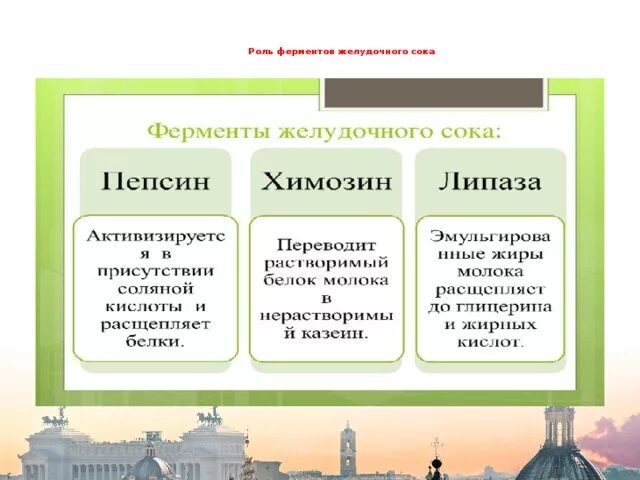 4 фермент желудочного сока. Роль ферментов желудочного сока. Функции ферментов желудочного сока. Ферменты и роль ферментов пищеварительного сока. К ферментам желудочного сока относятся.