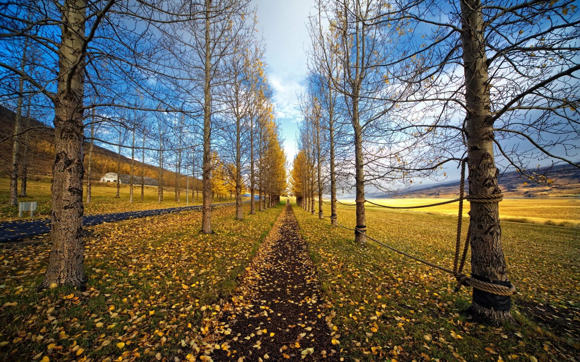 Осень 2012 года. Ранняя осень. поздняя осень. природа осень. осенняя дорога.