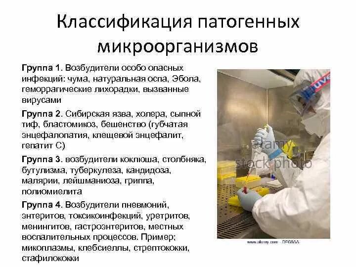 Ii группе патогенности. Микроорганизмы 1-4 групп патогенности. Микроорганизмы 3-4 группы патогенности класс. Инфекционные заболевания 3-4 группы патогенности. Классификация микроорганизмов по патогенности микробиология.