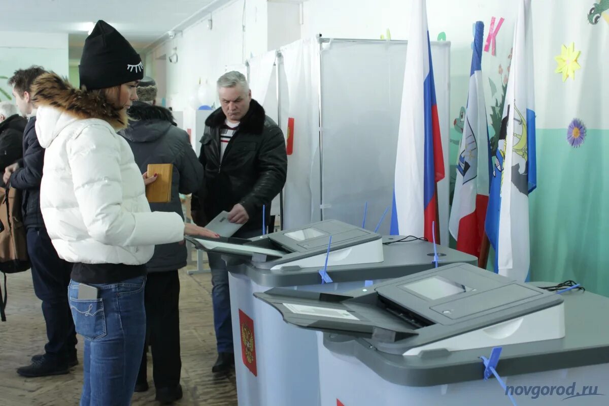 Результаты выборов в новгородской области. Явка в Новгородской области. Выборы Новгородская область. Выборы президента России Новгородская область. Явка на выборах Новгородский район.