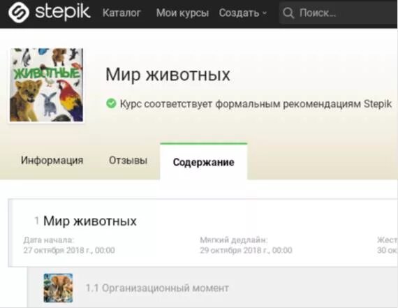 Stepik отзывы. Степик курс. Stepik курсы. Степик картинка. Создать курс на Степик.