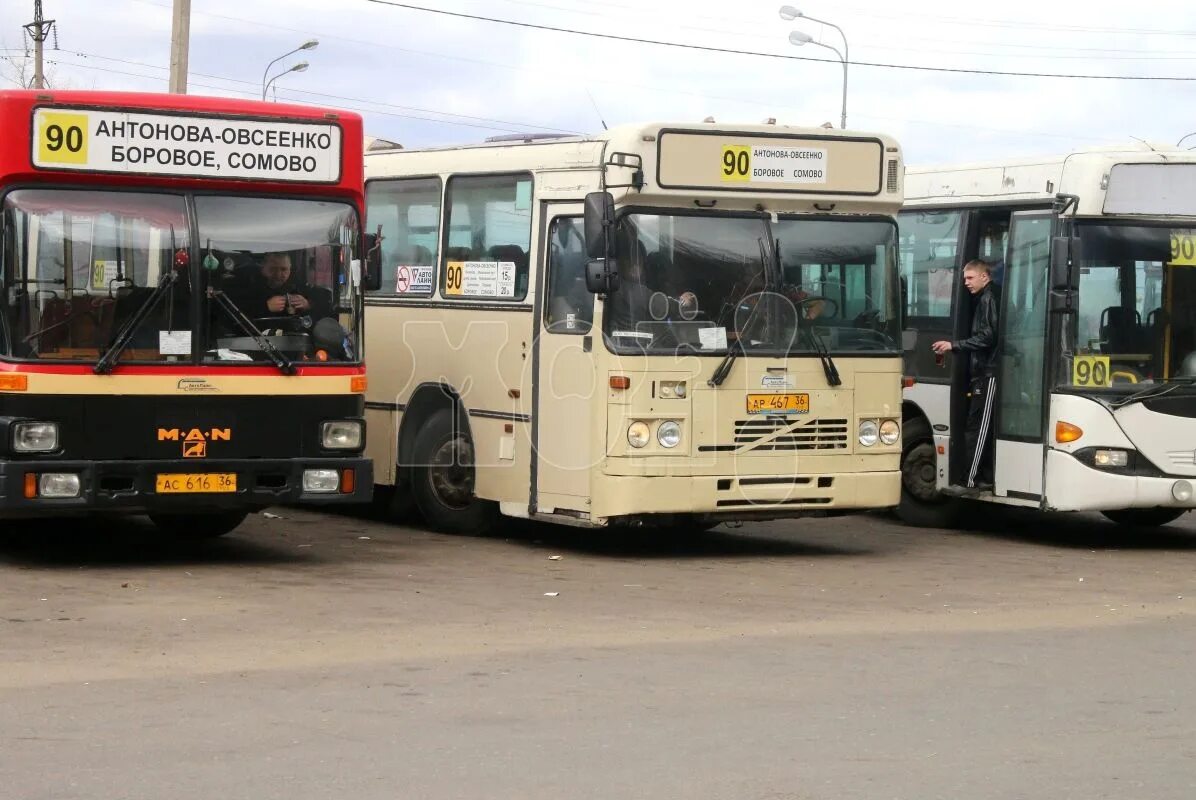 Автобус ру воронеж. Автобус мэрия Воронежа. Воронеж транспорт. Автобус Воронеж. Воронежский автобус.