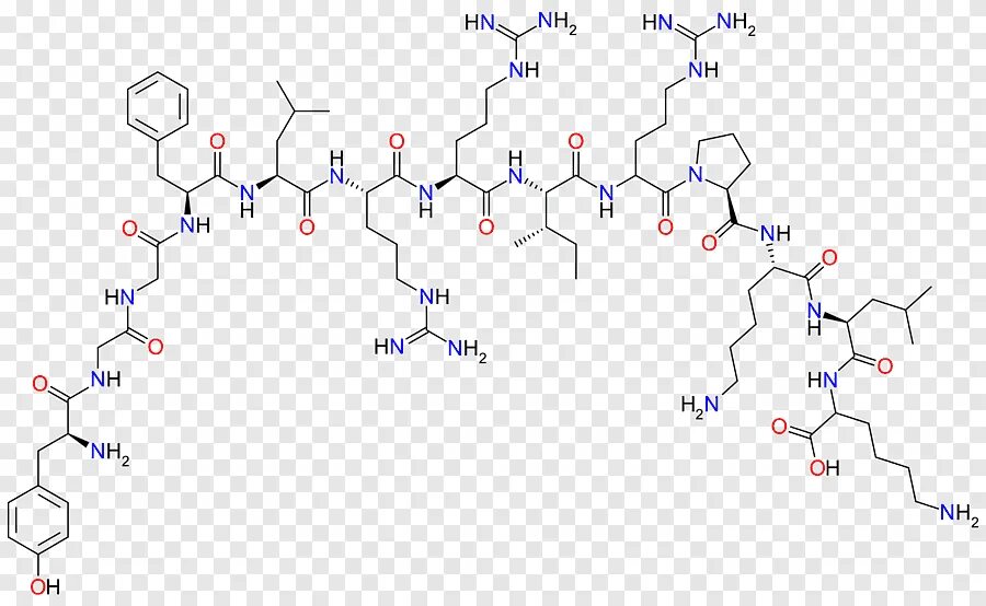 Формула эндорфина. Формула эндорфина химическая структура. Эндорфин формула химическая структура. Эндорфин молекула формула. Лей энкефалин.