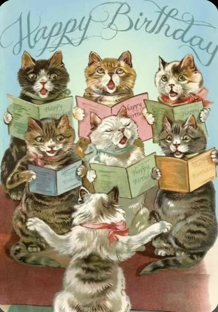 С днём рождения пикабу. Поздравления с днём рождения с кошками. С днем рождения женщине прикольные с котами. Поздравление с днем рождения с котом. С днем рождения женщине прикольные с котами.