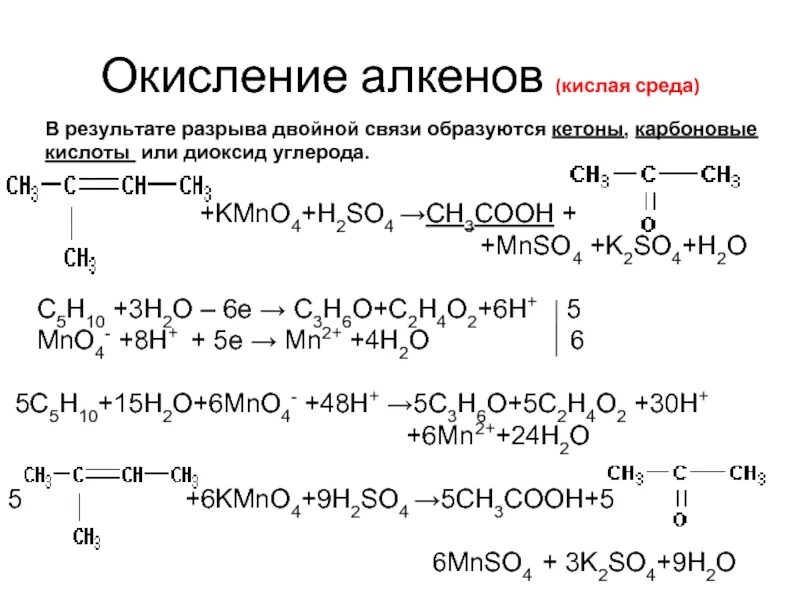 C5h10 o2