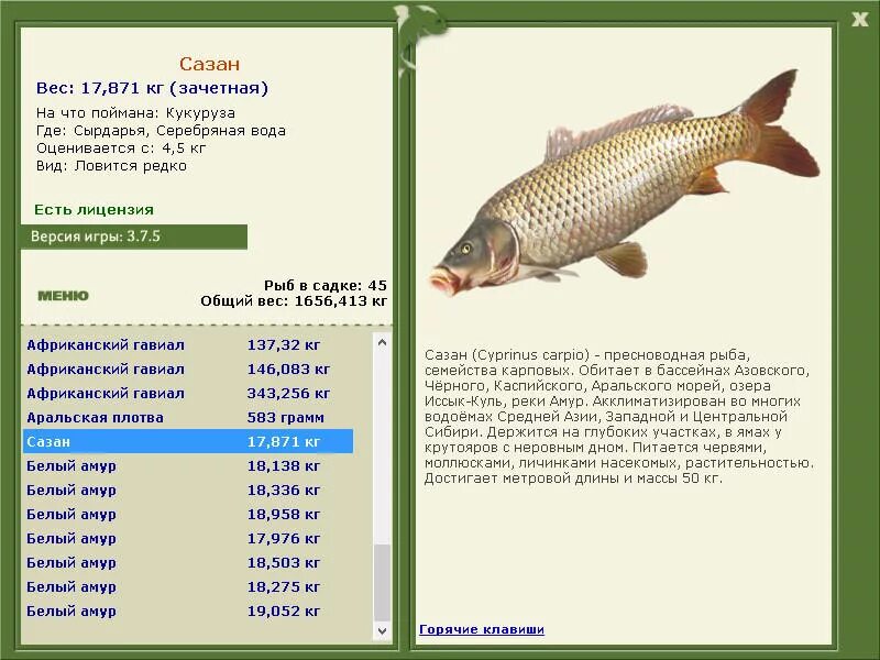 Русская рыбалка 3.7.6 Деревенские просторы. Русская рыбалка 3 7 6 Деревенские просторы рыбы. Русская рыбалка Деревенские просторы клевалка. Русская рыбалка 3.7.6 Деревенские просторы зачётная рыба.