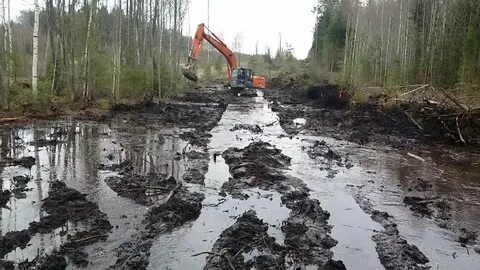 Прогноз погоды пестово новгородская область